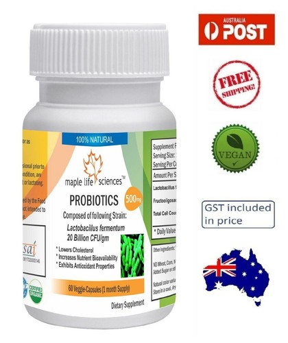 Probiotisches lactobacillus - probiotisches,