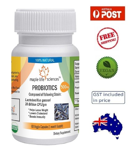 Probiotische lactobacillus - probiotische,